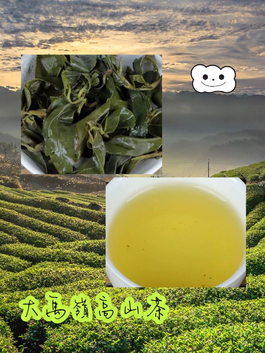 台灣高山茶 • 精粹大禹嶺 Taiwan Dayuling High Mountain Tea